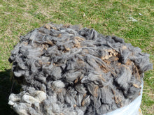 Load image into Gallery viewer, Kendall 2026 Raw Fleece - 6.6 lbs