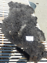 Load image into Gallery viewer, KENDALL - 2025 NECK FLEECE 2.2 lbs