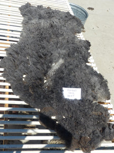 KENDALL - 2025 NECK FLEECE 2.2 lbs