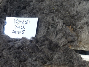 KENDALL - 2025 NECK FLEECE 2.2 lbs