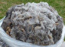 Load image into Gallery viewer, Luna 2024 Raw Fleece - 5.8lbs Reserved