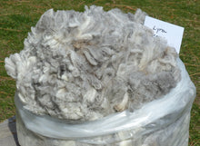 Load image into Gallery viewer, Lyra 2026 Raw Fleece 6.4 lbs - Reserved