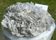 Load image into Gallery viewer, Lyra 2026 Raw Fleece 6.4 lbs - Reserved