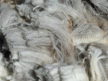 Load image into Gallery viewer, Lyra 2026 Raw Fleece 6.4 lbs - Reserved