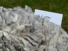 Load image into Gallery viewer, Lyra 2026 Raw Fleece 6.4 lbs - Reserved