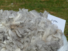 Load image into Gallery viewer, Lyra 2026 Raw Fleece 6.4 lbs - Reserved