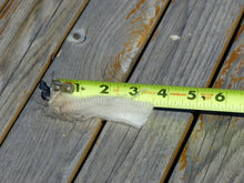 Load image into Gallery viewer, Lyra 2026 Raw Fleece 6.4 lbs - Reserved
