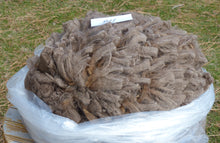 Load image into Gallery viewer, Mole&#39; - 2024 Raw Prime Fleece 6.7lbs - Reserved