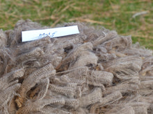 Load image into Gallery viewer, Mole&#39; - 2024 Raw Prime Fleece 6.7lbs - Reserved