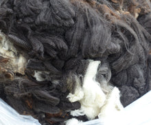 Load image into Gallery viewer, Miss T 2024 Raw Fleece 6.8 lbs - Reserved