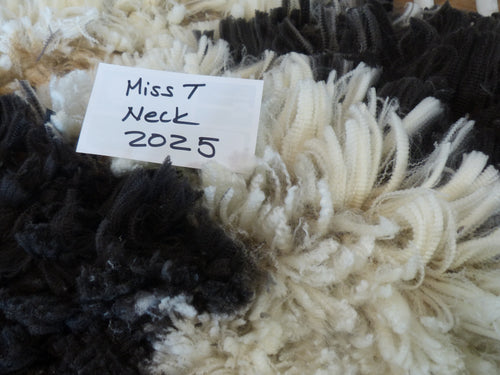 Miss T 2025 Neck Fleece - 2.4 lbs.