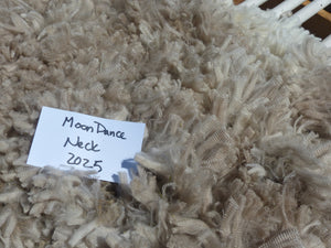 Moondance - 2025 Neck Fleece