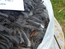 Load image into Gallery viewer, Night Rider 2026 Raw Fleece - 4.6 lbs Reserved