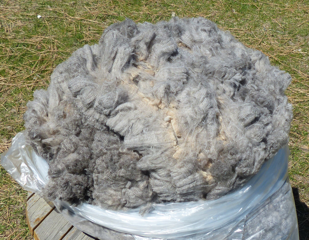 Nino 2025 Raw Fleece - 9.5 lbs Reserved