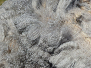 Nino 2025 Raw Fleece - 9.5 lbs Reserved