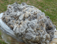 Load image into Gallery viewer, Pepper 2024 Raw Fleece 4.9lbs RESERVED