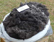 Load image into Gallery viewer, Poppi 2024 Raw Fleece - Sold at 5:01PM
