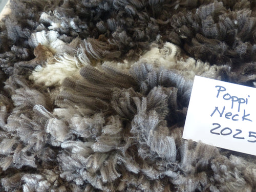 Poppi - 2025 Neck Fleece 1.4lbs RESERVED