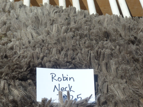 Robin- 2024 Neck Fleece 2.5 lbs