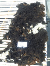 Load image into Gallery viewer, Sparky - Neck Fleece 1.4 lbs -