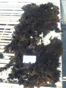 Sparky - Neck Fleece 1.4 lbs -
