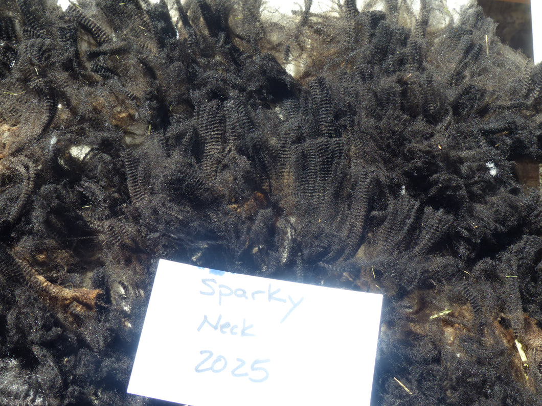 Sparky - Neck Fleece 1.4 lbs -
