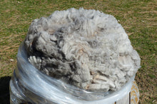 Load image into Gallery viewer, Sweet Pea 2026 Raw Fleece - 4.85 lbs Reserved