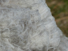 Load image into Gallery viewer, Sweet Pea 2026 Raw Fleece - 4.85 lbs Reserved