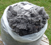 Load image into Gallery viewer, Treasure 2026 Raw Prime Fleece 7.6 lbs - Reserved