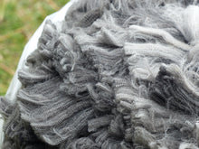 Load image into Gallery viewer, Treasure 2026 Raw Prime Fleece 7.6 lbs - Reserved