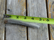 Load image into Gallery viewer, Treasure 2026 Raw Prime Fleece 7.6 lbs - Reserved