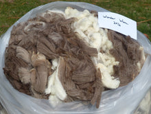 Load image into Gallery viewer, Wonder Woman 2026 Raw Fleece - Split in 1/2 for sale- Reserved