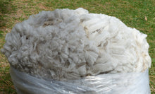 Load image into Gallery viewer, Cash 2024 Raw Fleece - 6.6 lbs Reserved