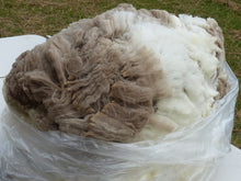 Load image into Gallery viewer, Captain Jack 2023 Raw Fleece - 6.4 lbs Reserved