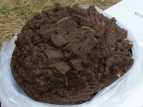 Gallatin 2023 Raw Fleece - 5.3lbs