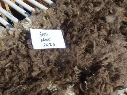 Hoss - 2025 Neck Fleece - 1.6 lbs