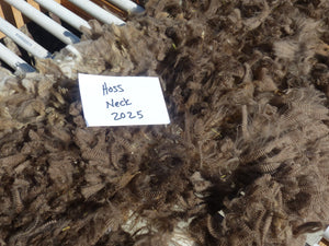 Hoss - 2025 Neck Fleece - 1.6 lbs