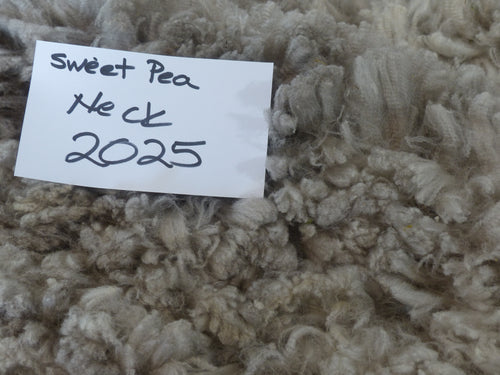 Sweet Pea - 2025 Neck Fleece 2.1 lbs