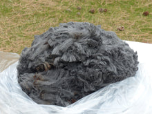 Load image into Gallery viewer, Waylon 2023 Raw Fleece - 4.6lbs Reserved