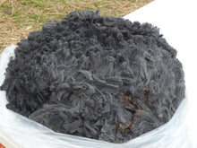 Load image into Gallery viewer, Willie 2023 Raw Fleece - 4.6lbs Reserved